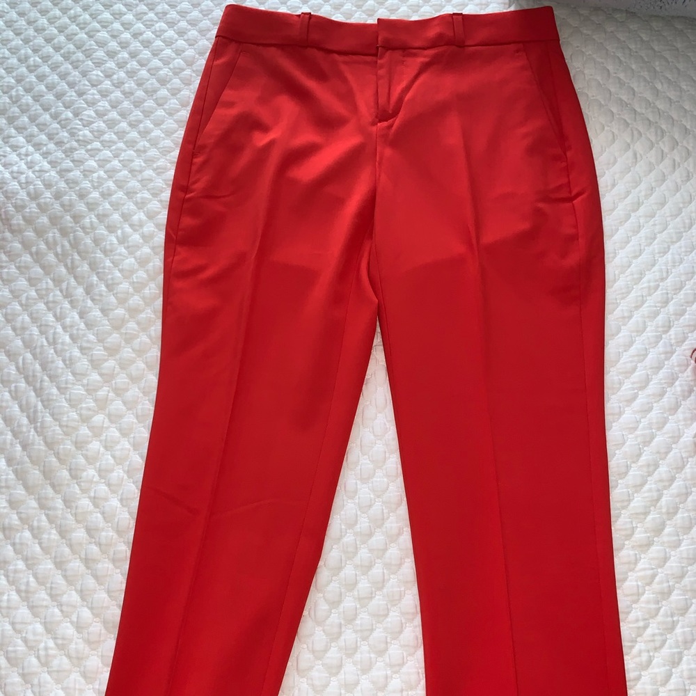Red dress pants
